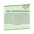Sie sehen eine Packung Ingwer Kapseln Extrakt Dr.wolz Nr 60547 120st, Produktbild: 06 Ingwer Kapseln Extrakt Dr.wolz Nr 60547 120st, A-Nr.: 4297741 - 06