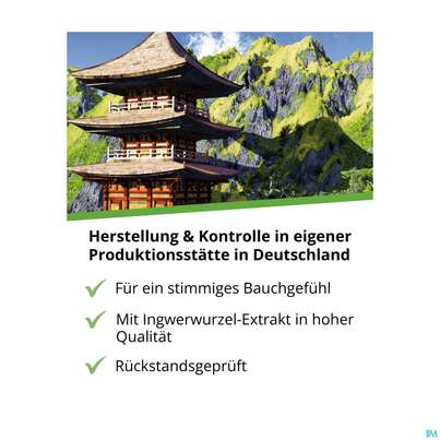 Sie sehen eine Packung Ingwer Kapseln Extrakt Dr.wolz Nr 60547 120st, Produktbild: 08 Ingwer Kapseln Extrakt Dr.wolz Nr 60547 120st, A-Nr.: 4297741 - 08