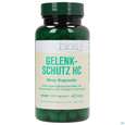 Sie sehen eine Packung Bios Gelenk-schutz Hc 100 Kapseln, Produktbild: 01 Bios Gelenk-schutz Hc 100 Kapseln, A-Nr.: 3891241 - 01