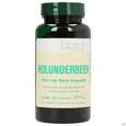 Bios Holunderbeer 350mg 100 Kapseln, A-Nr.: 3891548 - 01