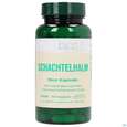 Bios Schachtelhalm 100 Kapseln, A-Nr.: 3893151 - 01