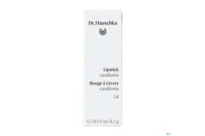Dr. Hauschka Lipstick 14 Caralluma 4,1g, A-Nr.: 4592931 - 01