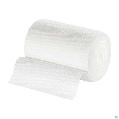 Sie sehen eine Packung Elastische Binden Idealast 10 Binden Unterverpackt 5mx 6cm 1st, Produktbild: 06 Elastische Binden Idealast 10 Binden Unterverpackt 5mx 6cm 1st, A-Nr.: 1738162 - 06