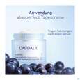 Sie sehen eine Packung Caudalie Vinoperfect Creme Nf 50ml, Produktbild: 06 Caudalie Vinoperfect Creme Nf 50ml, A-Nr.: 5970341 - 06