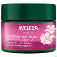 Weleda Wildrose/+weisser Tee Glaettende Nachtpflege 40ml, A-Nr.: 5838179 - 08