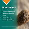 Sie sehen eine Packung Apozema® Nr. 13 Stimmungsaufhellungs-Tropfen, Produktbild: 03 Apozema® Nr. 13 Stimmungsaufhellungs-Tropfen, A-Nr.: 0952999 - 03