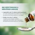 Sie sehen eine Packung Apozema® Nr. 13 Stimmungsaufhellungs-Tropfen, Produktbild: 05 Apozema® Nr. 13 Stimmungsaufhellungs-Tropfen, A-Nr.: 0952999 - 05