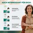 Sie sehen eine Packung Apozema® Nr. 35 Venen-Tropfen, Produktbild: 07 Apozema® Nr. 35 Venen-Tropfen, A-Nr.: 0980932 - 07