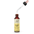 Sie sehen eine Packung Bach®- Blütenmischung KLARER KOPF, Produktbild: 03 Bach®- Blütenmischung KLARER KOPF, A-Nr.: 6146727 - 03