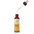 Sie sehen eine Packung Bach®- Blütenmischung KRAFT & STÄRKE, Produktbild: 03 Bach®- Blütenmischung KRAFT & STÄRKE, A-Nr.: 6146756 - 03