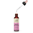 Sie sehen eine Packung Bach®- Blütenmischung SELBSTVERTRAUEN, Produktbild: 03 Bach®- Blütenmischung SELBSTVERTRAUEN, A-Nr.: 6146733 - 03