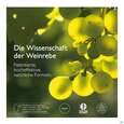 Sie sehen eine Packung Caudalie Vinoperfect Nachtcreme Nf 50ml, Produktbild: 11 Caudalie Vinoperfect Nachtcreme Nf 50ml, A-Nr.: 5970306 - 11