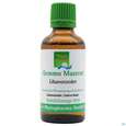 Gemmo Mazerat Libanonzeder Cedrus Libani Phytopharma 50ml, A-Nr.: 3107371 - 01