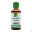 Gemmo Mazerat Silberweide Salix Alba Phytopharma 50ml, A-Nr.: 4493175 - 02