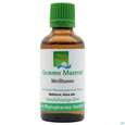 Gemmo Mazerat Weisstanne Abies Alba Phytopharma 50ml, A-Nr.: 3107282 - 02