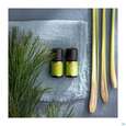 Sie sehen eine Packung Aetherische Oele Primavera Lemongrass Bio 10ml, Produktbild: 04 Aetherische Oele Primavera Lemongrass Bio 10ml, A-Nr.: 3160402 - 04