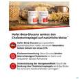 Cholesterin Reduktion Pulver Dr.wolz Nr. 60571 224g, A-Nr.: 3839341 - 05