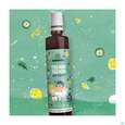Sonnentor Sirup/bio Tschin Tschin 00981 500ml, A-Nr.: 5743852 - 06