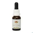 Sie sehen eine Packung Aub Dog Rose, Produktbild: 01 Aub Dog Rose, A-Nr.: 2626985 - 01