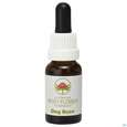 Sie sehen eine Packung Aub Dog Rose, Produktbild: 02 Aub Dog Rose, A-Nr.: 2626985 - 02