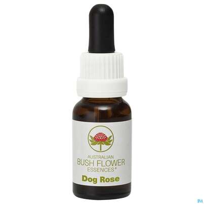 Sie sehen eine Packung Aub Dog Rose, Produktbild: 02 Aub Dog Rose, A-Nr.: 2626985 - 02