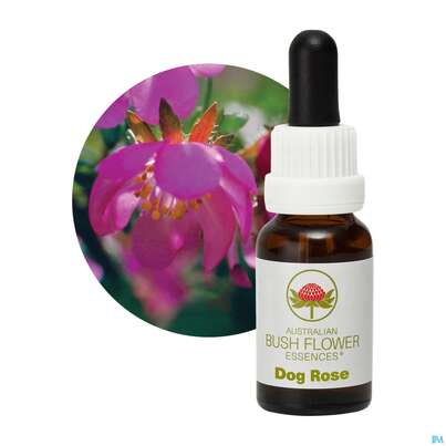 Sie sehen eine Packung Aub Dog Rose, Produktbild: 04 Aub Dog Rose, A-Nr.: 2626985 - 04