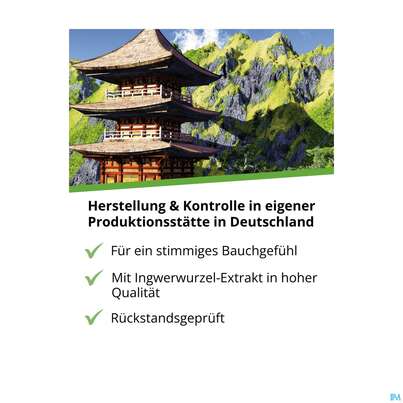 Sie sehen eine Packung Ingwer Kapseln Extrakt Dr.wolz Nr 60547 120st, Produktbild: 10 Ingwer Kapseln Extrakt Dr.wolz Nr 60547 120st, A-Nr.: 4297741 - 10