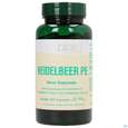 Sie sehen eine Packung Bios Heidelbeer Pulver-extrakt 100 Kapseln, Produktbild: 01 Bios Heidelbeer Pulver-extrakt 100 Kapseln, A-Nr.: 3891531 - 01