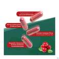 Sie sehen eine Packung Cranberry Lutschtabl Avi 60st, Produktbild: 08 Cranberry Lutschtabl Avi 60st, A-Nr.: 3831121 - 08