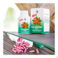 Sie sehen eine Packung Cranberry Lutschtabl Avi 60st, Produktbild: 09 Cranberry Lutschtabl Avi 60st, A-Nr.: 3831121 - 09