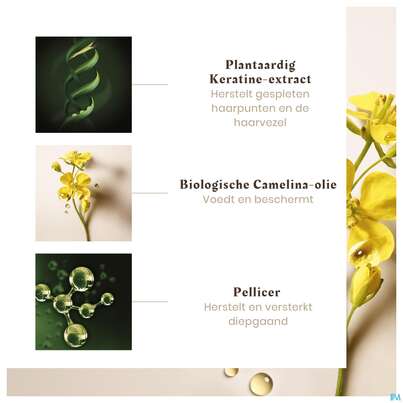 Sie sehen eine Packung Furterer Absolue Kératine Ultimatives Repair-serum - Pflege Für Beschädigte Haarspitzen 30ml, Produktbild: 23 Furterer Absolue Kératine Ultimatives Repair-serum - Pflege Für Beschädigte Haarspitzen 30ml, A-Nr.: 5479591 - 23