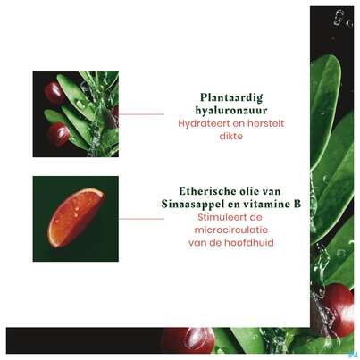 Furterer Tonucia Kräftigende Maske 100ml, A-Nr.: 5439918 - 20