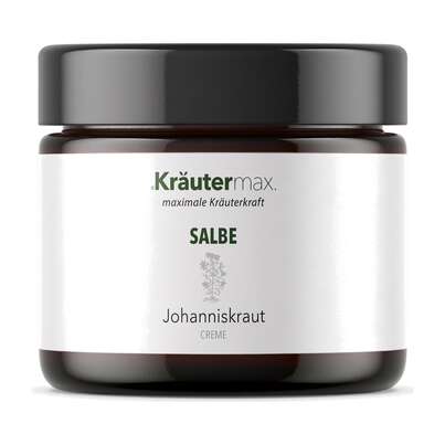 Sie sehen eine Packung Johanniskraut Salbe 100 ml, Produktbild: 01 Johanniskraut Salbe 100 ml, A-Nr.: 4319632 - 01