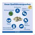 Sie sehen eine Packung Melissen Basen Tabl Dr.jacobs 250st, Produktbild: 04 Melissen Basen Tabl Dr.jacobs 250st, A-Nr.: 3476826 - 04