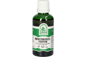INGWERWURZEL TROPFEN 50 ML, A-Nr.: 4484408 - 01