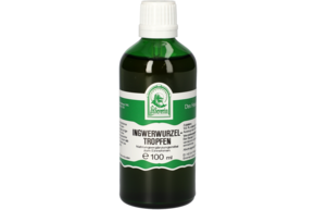 INGWERWURZEL TROPFEN 100 ML, A-Nr.: 4484414 - 01