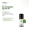 Sie sehen eine Packung Kiefernadel Öl 10 ml, Produktbild: 04 Kiefernadel Öl 10 ml, A-Nr.: 4318727 - 04