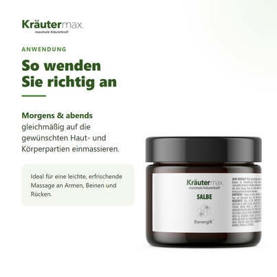 Sie sehen eine Packung Bienengift Salbe 100 ml, Produktbild: 04 Bienengift Salbe 100 ml, A-Nr.: 6034626 - 04