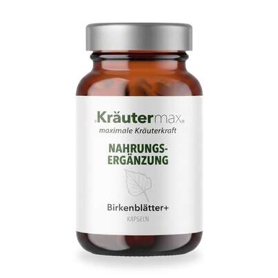 Sie sehen eine Packung Birkenblätter plus Kapseln 90 Stück, Produktbild: 01 Birkenblätter plus Kapseln 90 Stück, A-Nr.: 5443417 - 01