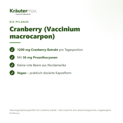 Sie sehen eine Packung Cranberry Extrakt 400 mg Kapseln 90 Stück, Produktbild: 02 Cranberry Extrakt 400 mg Kapseln 90 Stück, A-Nr.: 5746313 - 02