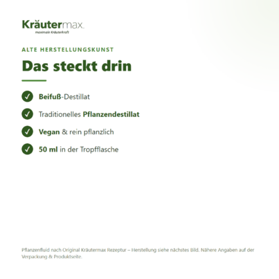 Sie sehen eine Packung Beifuß Tropfen 50 ml, Produktbild: 04 Beifuß Tropfen 50 ml, A-Nr.: 4317834 - 04
