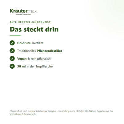 Goldrute Tropfen Fluid 50 ml, A-Nr.: 4317716 - 04