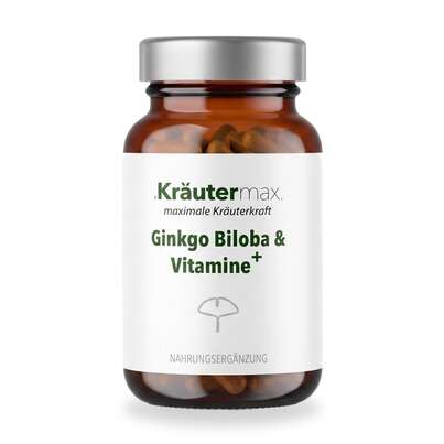Ginkgo Biloba Kapsel 60 Stück, A-Nr.: 5746342 - 01