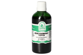 HUEHNERDARMKRAUT TROPFEN 100 ML, A-Nr.: 5834974 - 01