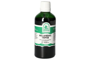 KHELLAFRUECHTE TROPFEN 100 ML, A-Nr.: 5832024 - 01