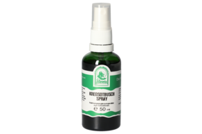 KREOSOTBUSCH SPRAY	50 ML, A-Nr.: 5831562 - 01