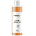 Birke Shampoo 250 ml, A-Nr.: 4319394 - 01