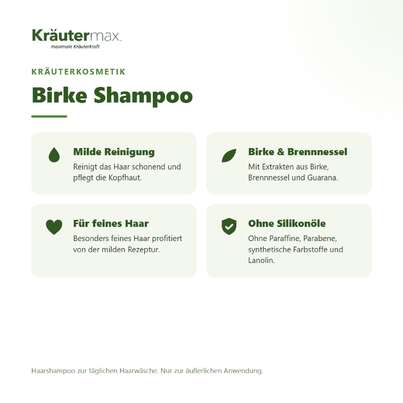 Birke Shampoo 250 ml, A-Nr.: 4319394 - 02