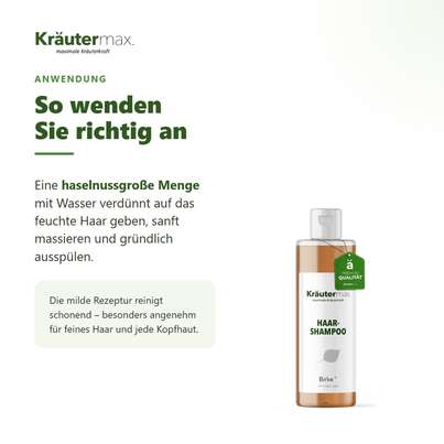 Birke Shampoo 250 ml, A-Nr.: 4319394 - 04