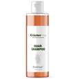 Sie sehen eine Packung Zinnkraut Shampoo 250 ml, Produktbild: 01 Zinnkraut Shampoo 250 ml, A-Nr.: 4609318 - 01
